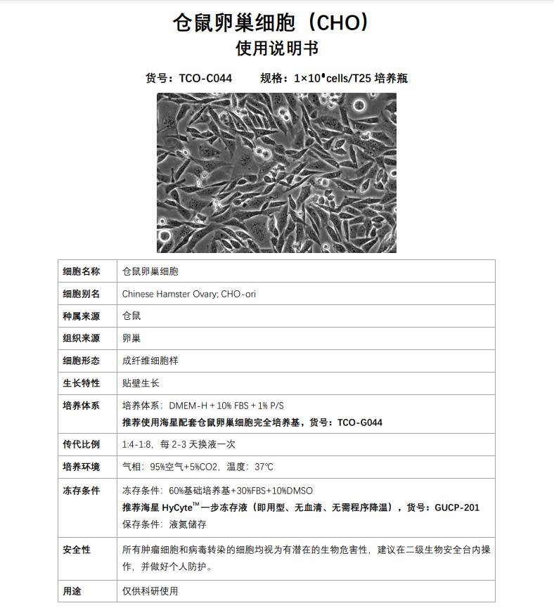 CHO細(xì)胞購買