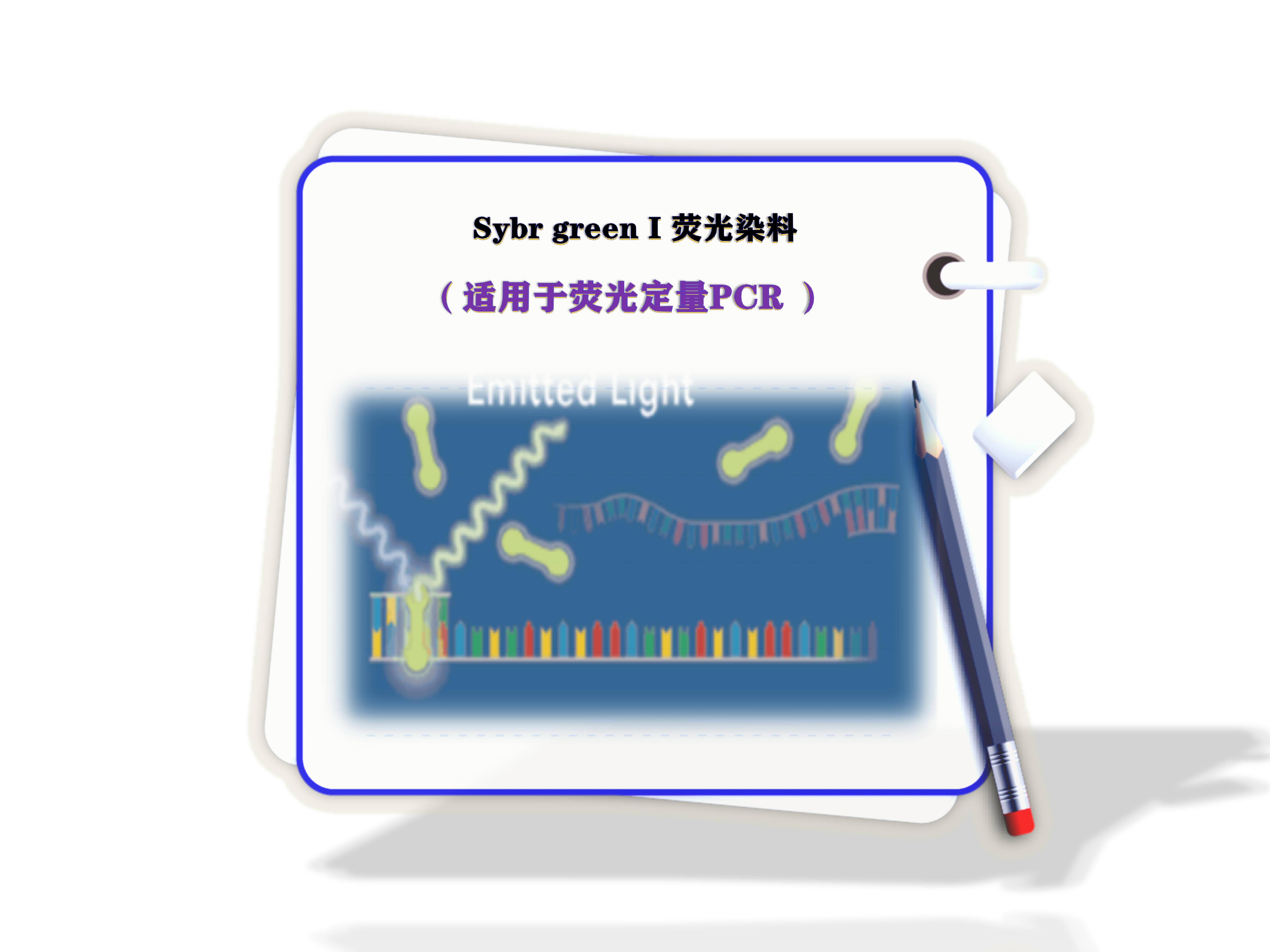 sybr green熒光染料?-熒光定量PCR 熒光定量PCR