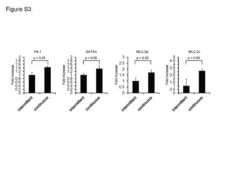 心臟基因mRNA表達(dá)水平的比較