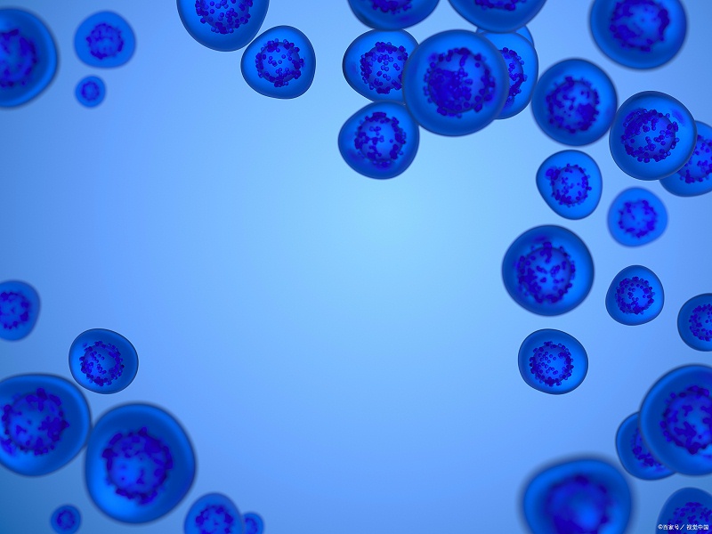 懸浮細(xì)胞培養(yǎng)