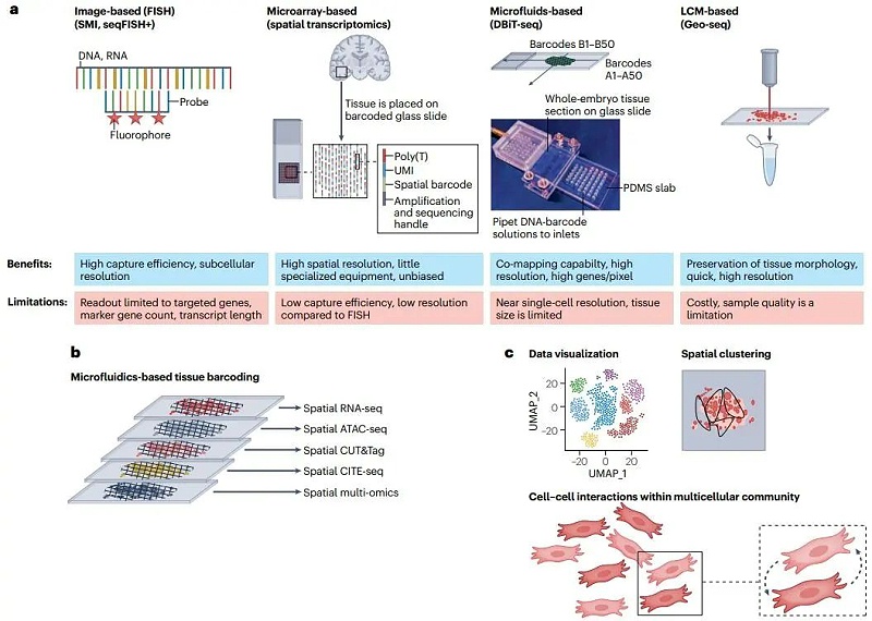 單細胞組學技術(shù)