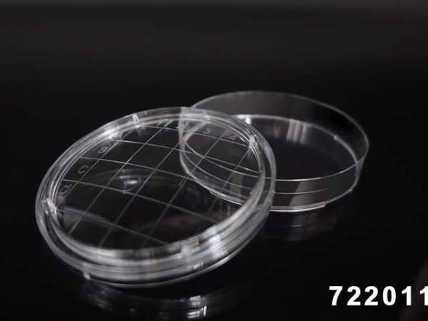 nest細(xì)胞培養(yǎng)瓶培養(yǎng)皿 nest細(xì)胞培養(yǎng)瓶培養(yǎng)皿