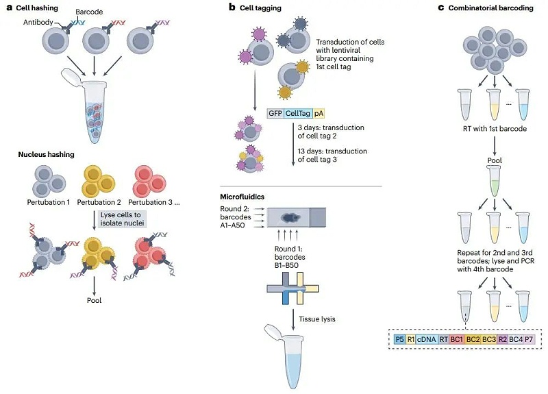 單細(xì)胞組學(xué)