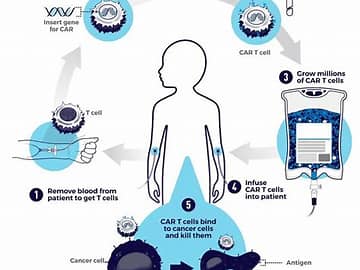 支原體檢測常見問題解答