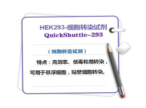 QuickShuttle-293 <i style='color:red'>hek293</i>-細胞轉(zhuǎn)染試劑