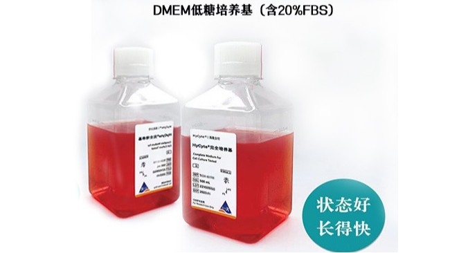 配制<i style='color:red'>hek293</i>培養(yǎng)基時的注意事項