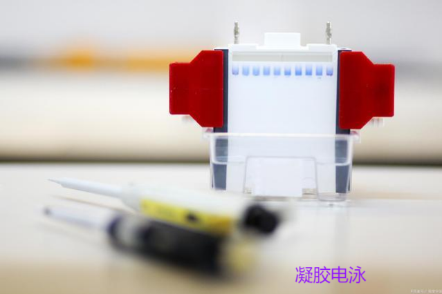 常規(guī)的移液器校準證書和CNAS 認證的校準證書有什么區(qū)別？