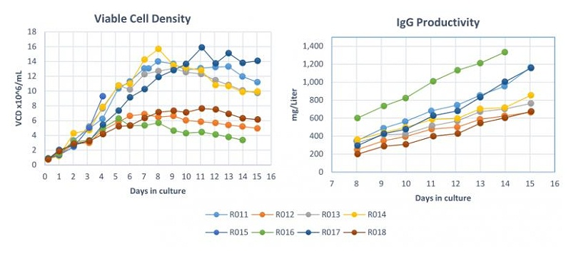 單細(xì)胞克隆