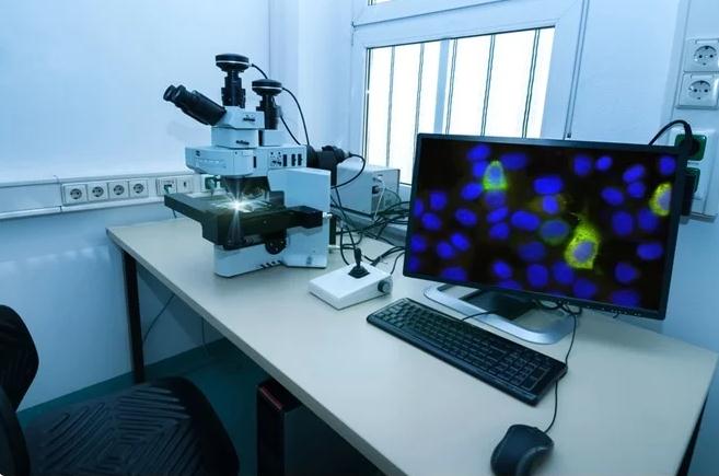 一抗和<i style='color:red'>二抗</i>的區(qū)別是什么？