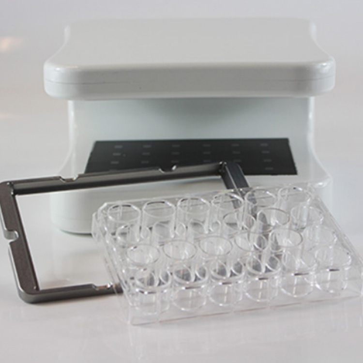 活細(xì)胞成像