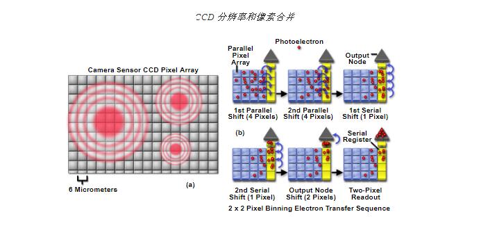 顯微鏡成像技術(shù)