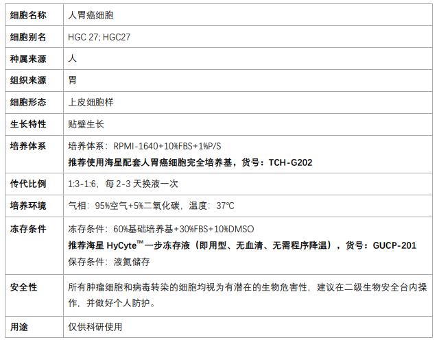 人胃癌細(xì)胞