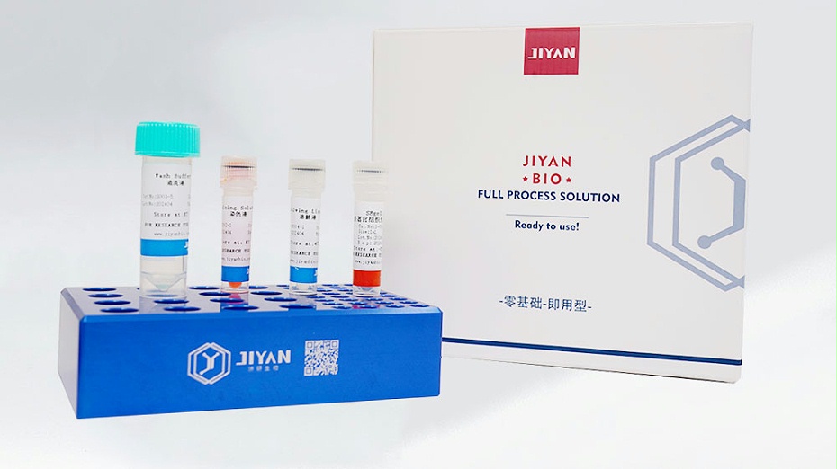 類器官專用組織包埋膠試劑盒2