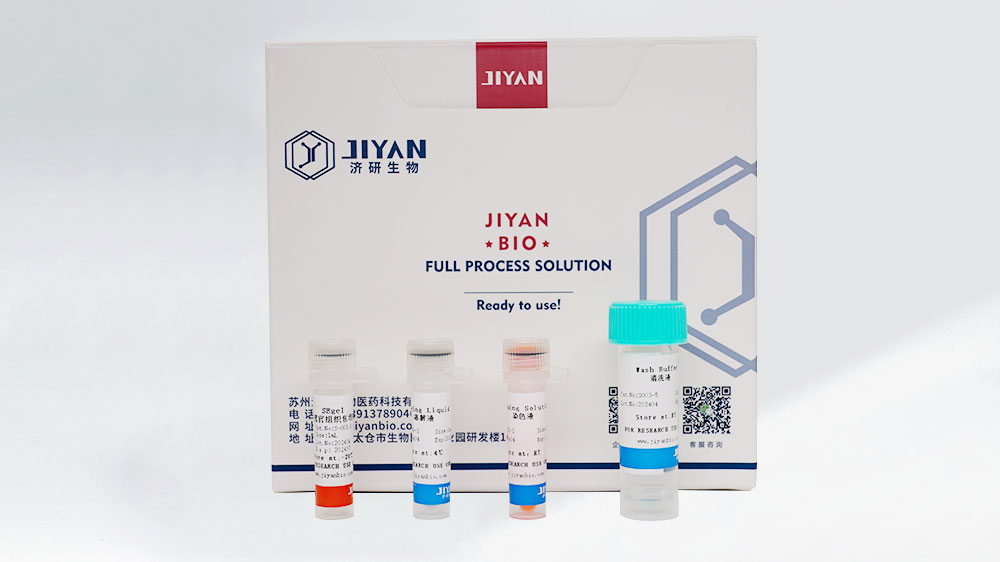 類器官專用組織包埋膠(SE-Gel) 組織包埋膠