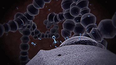 通過CRISPR-Cas9基因編輯技術(shù)定點敲入細胞系構(gòu)建的核心挑戰(zhàn)