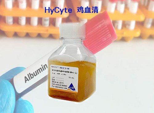 HyCyte 雞血清-細(xì)胞培養(yǎng)級(jí)