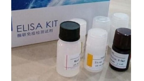 酶聯(lián)免疫檢測(cè)