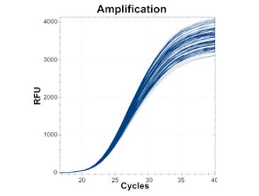 移液器-準確且可重復