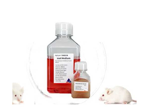 HyCyte 小鼠間充質(zhì)干細(xì)胞去外泌體專用培養(yǎng)基
