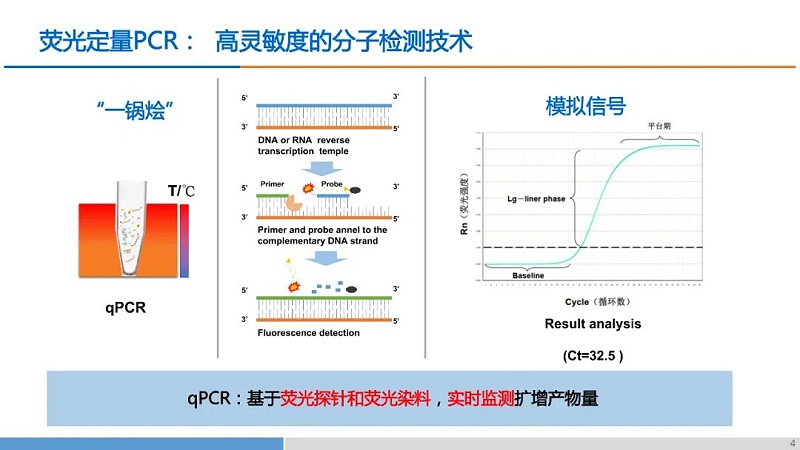 熒光定量PCR