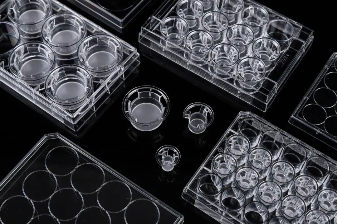 細(xì)胞培養(yǎng)小室