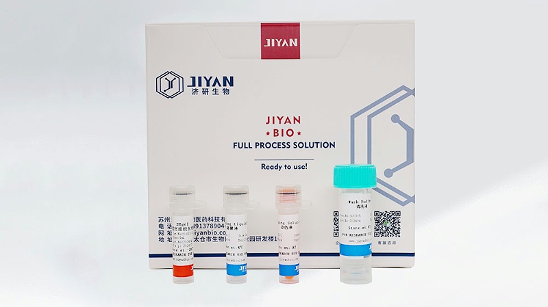 類器官包埋產(chǎn)品如何提升實驗效率？<i style='color:red'>se-gel</i> 使用小技巧