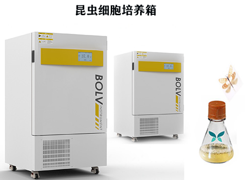 昆蟲細胞培養(yǎng)箱? 昆蟲細胞培養(yǎng)箱