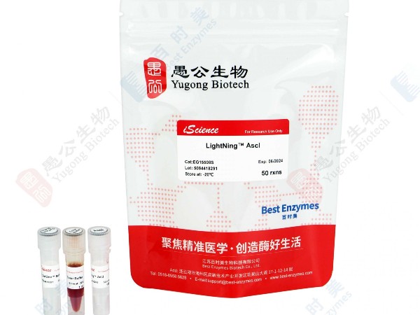 LightNing-快速內(nèi)切酶-AscI酶