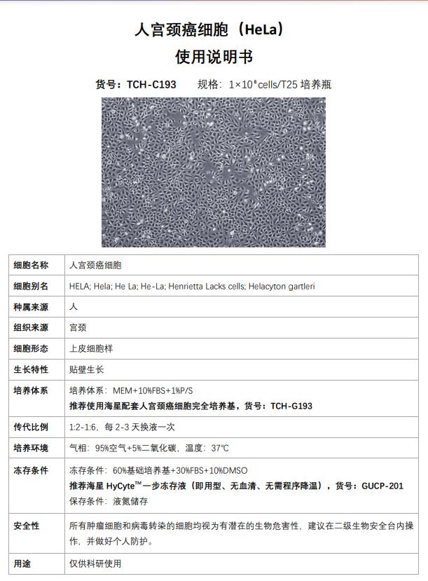 hela 細(xì)胞說(shuō)明書(shū)