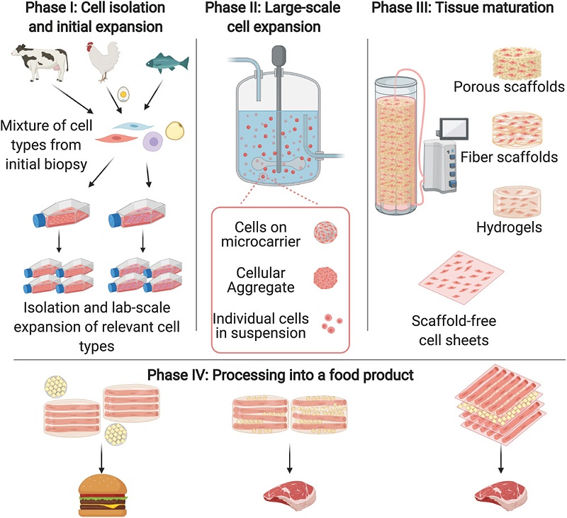 人造肉生產(chǎn)流程示意圖