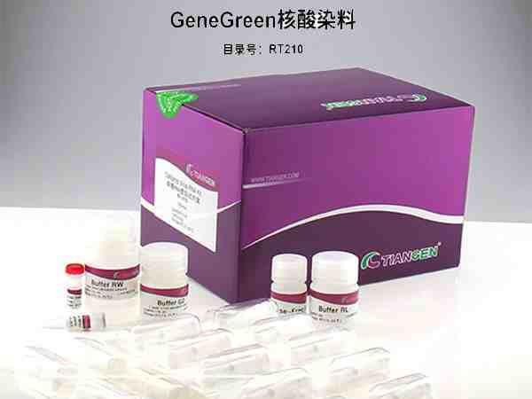 天根試劑盒-Gene<i style='color:red'>green</i>核酸染料-RT210