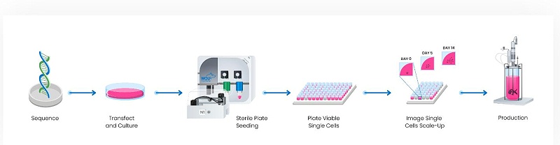 細(xì)胞系開發(fā)