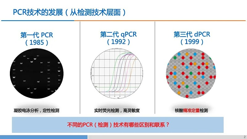 PCR技術(shù)