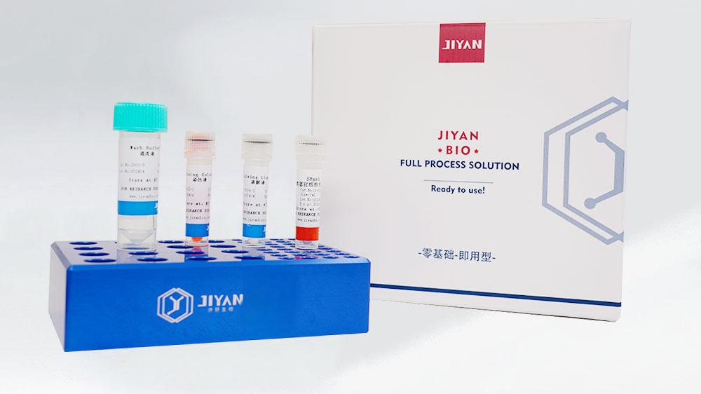 SE-Gel 類器官專用包埋膠vs傳統(tǒng)瓊脂糖,三維培養(yǎng)材料的革新與應(yīng)用