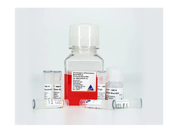 間充質(zhì)干細(xì)胞成軟骨?誘導(dǎo)分化培養(yǎng)基