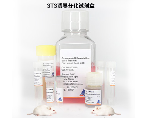 3T3誘導(dǎo)分化試劑盒