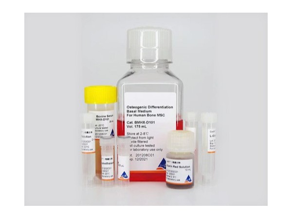 干細(xì)胞成骨誘導(dǎo)分化試劑