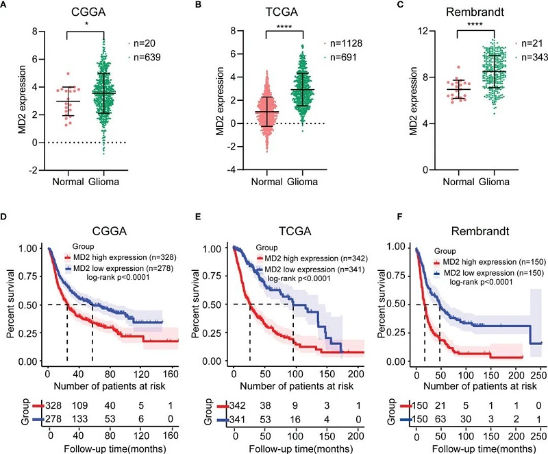 圖 1MD2 膠體表達來實驗驗證圖