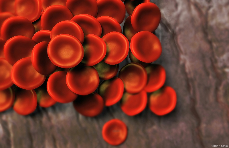 細(xì)胞微核測(cè)定