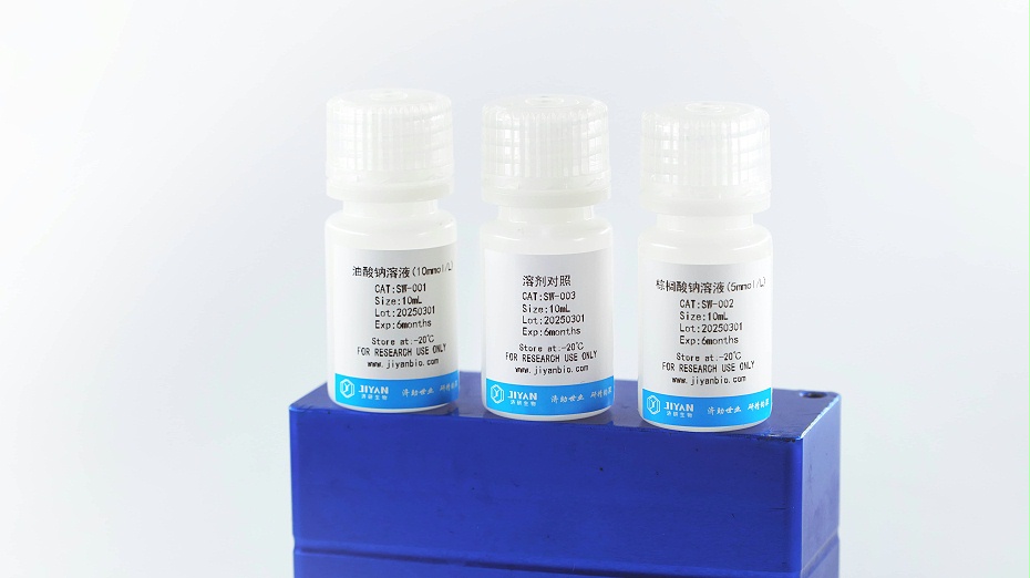 油紅O染色試劑 -脂肪肝細(xì)胞模型構(gòu)建專用試劑盒|支持HepG2/LO2/原代肝細(xì)胞脂滴染色