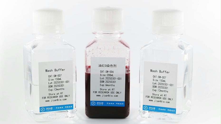 油紅O染色試劑盒(ODK004-1)