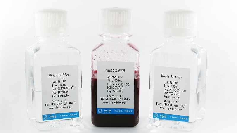 油紅O染色試劑盒(ODK004-1)