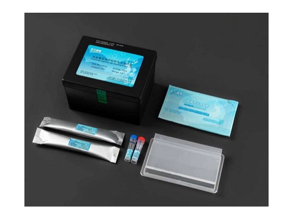 瓊脂糖預染預制膠電泳試劑盒