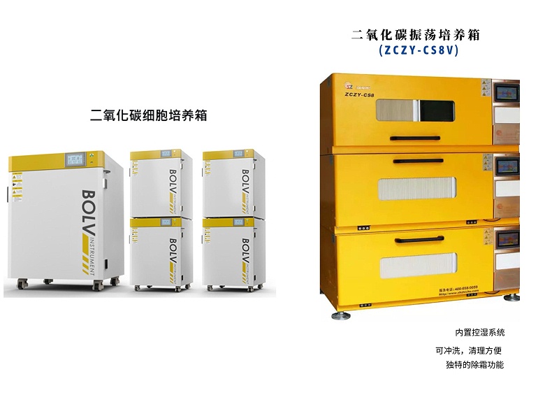 微生物培養(yǎng)箱選購指南及管理建議