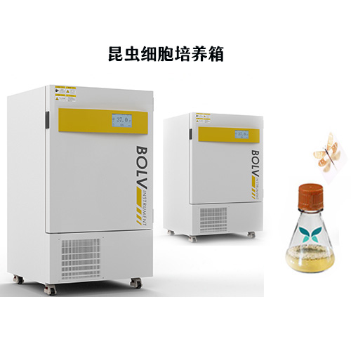 昆蟲細胞培養(yǎng)箱1