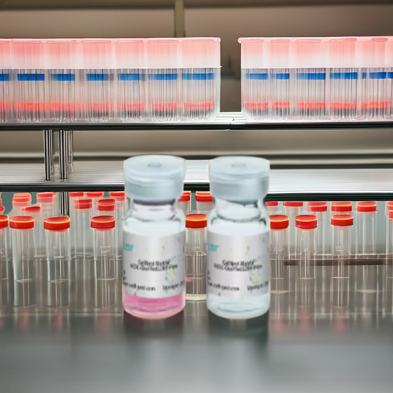 GelNest基質(zhì)膠：細(xì)胞培養(yǎng)領(lǐng)域的得力助手