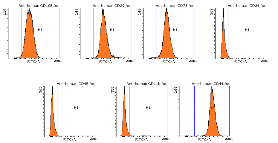 細(xì)胞檢測服務(wù)