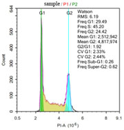 細(xì)胞周期檢測服務(wù)