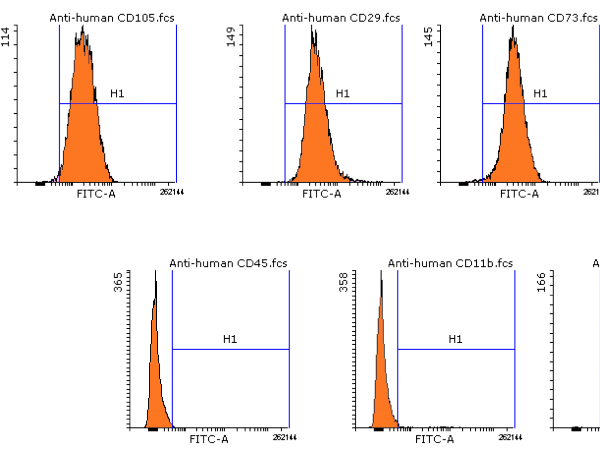 細(xì)胞凋亡檢測-細(xì)胞周期檢測-細(xì)胞檢測服務(wù)