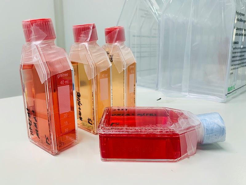 細(xì)胞培養(yǎng)